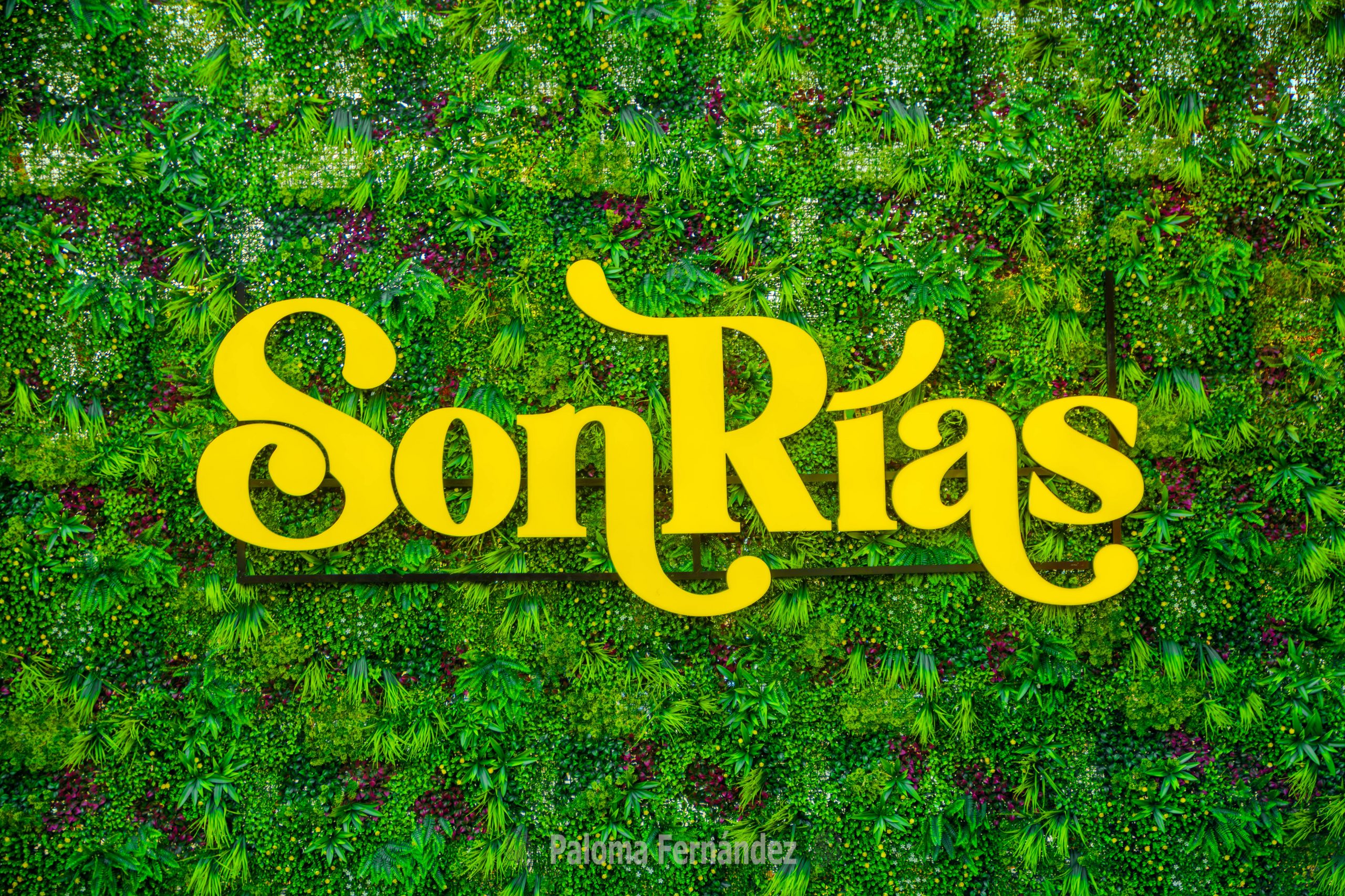 SonRías Baixas Viernes Público y grupos